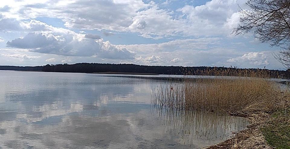 Cztery Pory Warmii Pluski Pokoje Do Wynajecia Apartamento Exterior foto