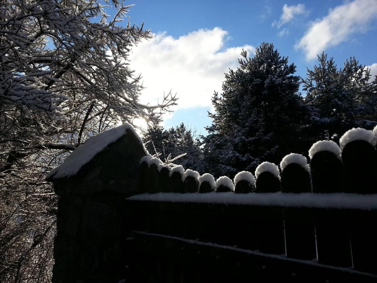 Cztery Pory Warmii Pluski Pokoje Do Wynajecia Apartamento Exterior foto