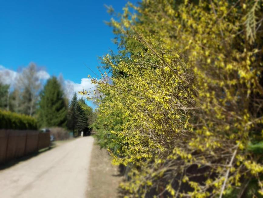 Cztery Pory Warmii Pluski Pokoje Do Wynajecia Apartamento Exterior foto